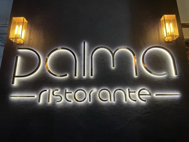 Palma Dark Logo